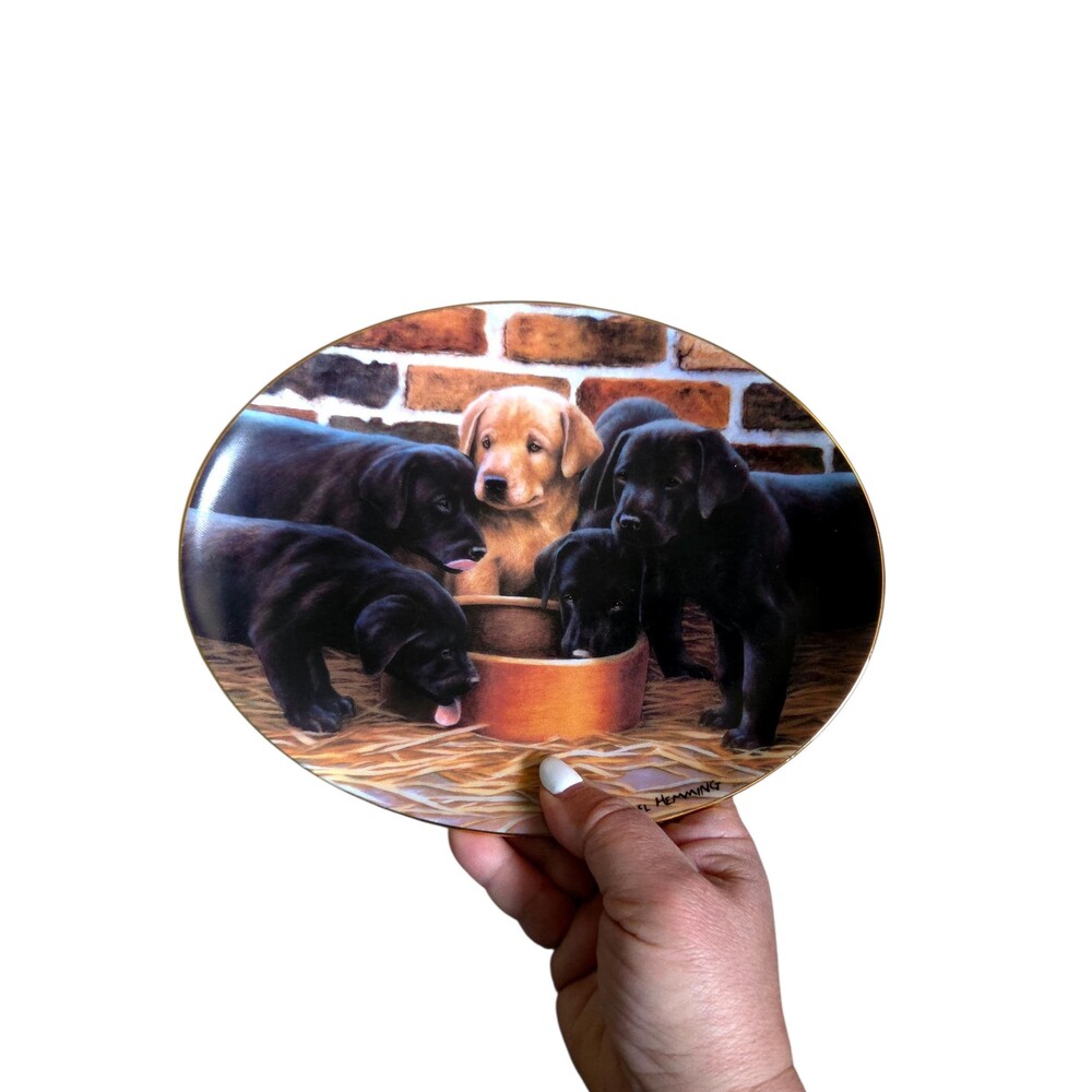 Vtg Franklin Mint Nigel Hemming Five and Dine Labrador Plate